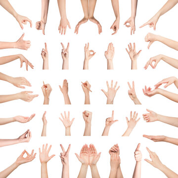 Collection of female hands gesturing on white background