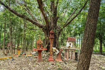 old style thai house,Thai style spirit house old ruin was abandoned in the forest.