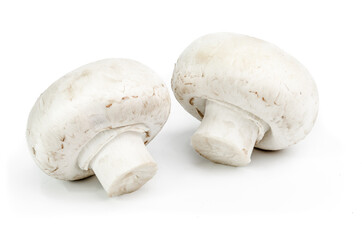 Two agaricus mushrooms isolated on a white background