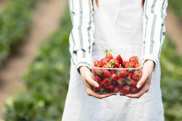 Woman holding a plastic bowl with strawberries