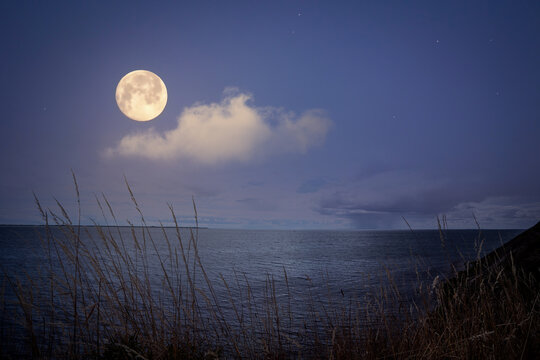 Full moon over the sea with sparkling stars