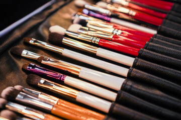 Set of makeup stylist brushes. Different makeup brushes in black leather case. Close up. Selective focus