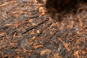 Chinese puer fermented and pressed tea. Healthy nutrition and antioxidant drinks. Tea ceremony
