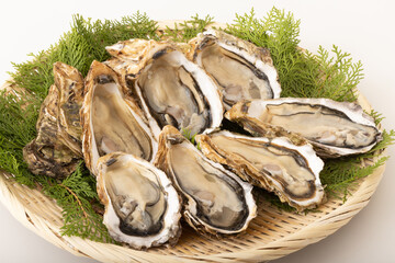 殻付き生牡蠣　(宮城県産)