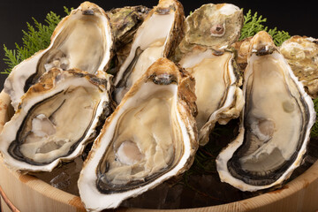 Naklejka premium 殻付き生牡蠣 (宮城県産)