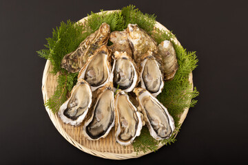 殻付き生牡蠣　(宮城県産)