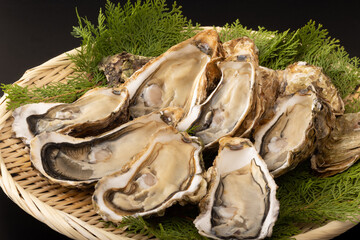 殻付き生牡蠣　(宮城県産)