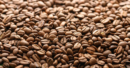 Coffee beans texture and background. Closeup view