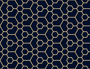 Foto op Plexiglas Het geometrische patroon met lijnen. Naadloze vectorachtergrond. Goud en donkerblauwe textuur. Grafisch modern patroon. Eenvoudig rooster grafisch ontwerp © ELENA