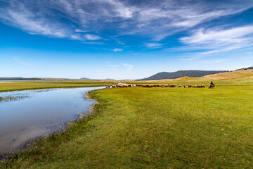 Lake Afnourir in Morocco. A flock of sheep grazes the green grass on the shore of the lake