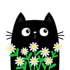 Cat kitten kitty holding daisy chamomile. Happy Valentines Day. Camomile flower bouquet. Cute cartoon kawaii funny animal. Greeting card, tshirt. Flat design. Love card. White background.