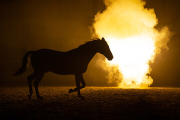 Silhouette of a trotting big Horse in a orange smokey atmosphere. A bright lamp lights the smoke behind the horse