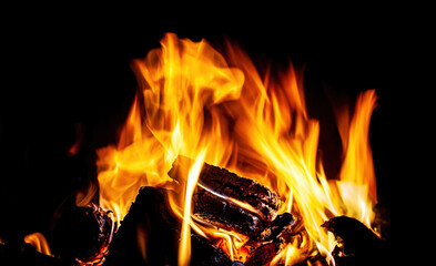 Fireplace with wood and fire flames