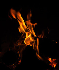 Fototapeta premium Fireplace with wood and fire flames