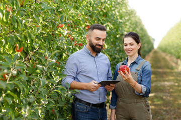 High quality products, eco organic fruits for sale and production