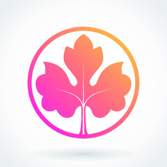 light color leaf beautiful symbol
