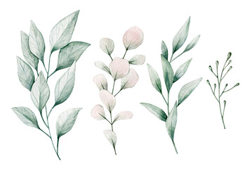 Watercolor illustration set with eucalyptus branches. Isolated on white background. Hand drawn clipart. Perfect for card, postcard, tags, invitation, printing, wrapping.