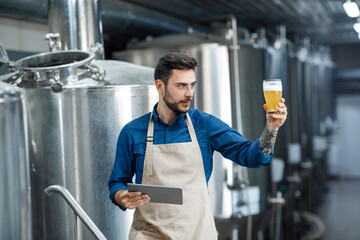 Brewery worker look at freshly made beer in glass