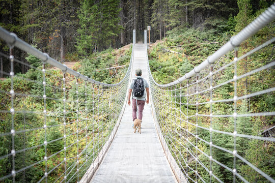 Fototapeta Man hiking with dog crossing long suspension bridge in the woods of Canadian Rockies, narrow shot
