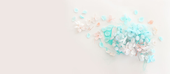 Creative image of pastel blue and pink Hydrangea flowers on artistic ink background. Top view with copy space
