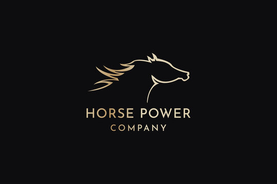Beauty powerful Horse logo design vector illustration.