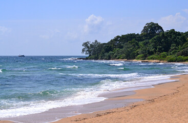 Obraz premium Seascape with beach and forested coastline in sunny weather