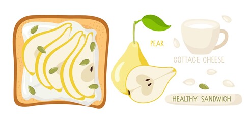 Healthy Sandwich with cottage cheese, pear and pumpkin seeds. Sliced pear and pepitas, Top view Ingredients for toast cooking with inscriptions. Vector flat Delicious Healthy breakfast or snack.