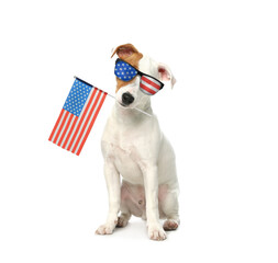4th of July - Independence Day of USA. Cute dog with sunglasses and American flag on white...
