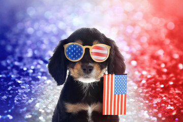 4th of July - Independence Day of USA. Cute dog with sunglasses and American flag on shiny festive background