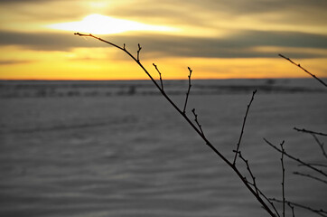 Sunset on a snow day in winter