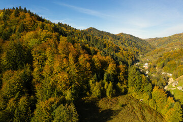 Aerial view of beautiful mountain forest and village on autumn day