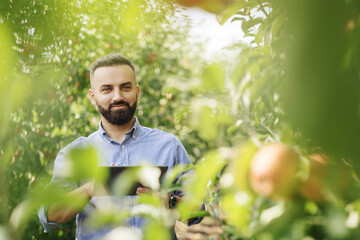 Orchard management, seasonal work and crop control on organic farm
