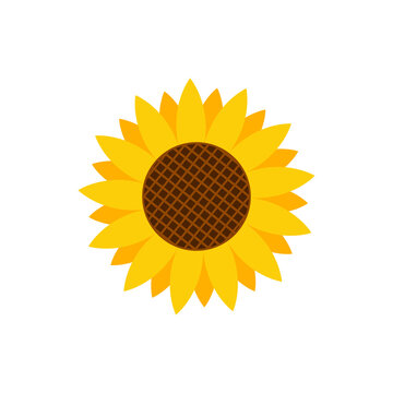 sunflower logo icon design template vector