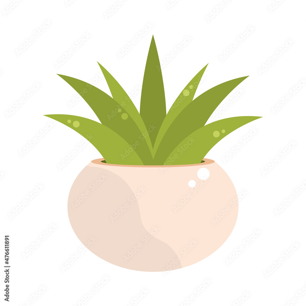 Poster houseplant leaves decoration