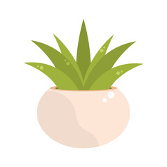 houseplant leaves decoration