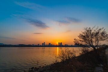 겨울 한강둑의 해질무렵 (일몰) 풍경과 스카이라인 앙상한 나뭇가지 실루엣