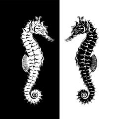 Seahorse black and white inversion.