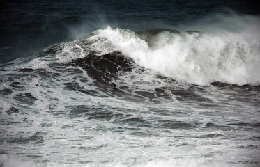 Surfing a wave on the north beach of Nazaré, Portugal