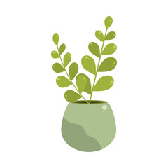 green houseplant decoration