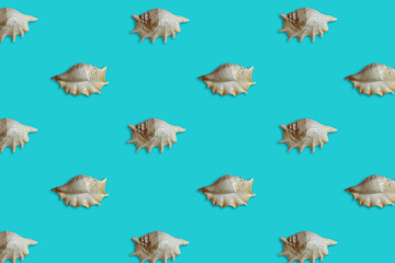 Trendy pattern made with sea shell on bright light blue background. Summer vacance concept.