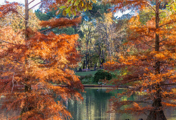 Fototapeta na wymiar The lake of the Retiro Park in Madrid in autumn