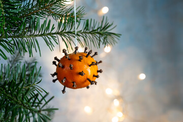 Christmas with SARS-CoV-2 Omicron variant, tangerine spiked with cloves as decoration and covid-19...