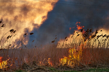 Wildfires. Burning estuary. Fire in the steppe.