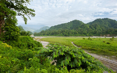 Thick flora overlooking Kameng river and Himalayas on overcast day. Bhalukpong, India.