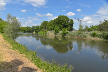 Fluss Saale in Sachsen-Anhalt