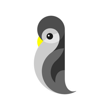 Penguin Animal Logo Icon Symbol Vector Graphic Design