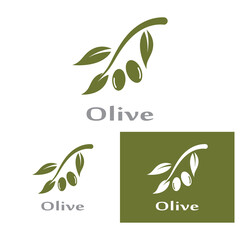 olive icon vector illustration design template