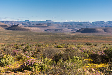 Karoo landscape with mountains in the background