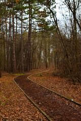 A trail used for recreation people,brisk walking and running