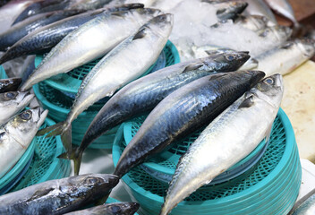 Seafood at the fish market in Korea